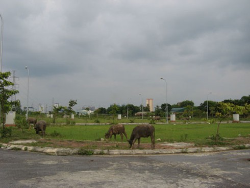 Đổ nhiều tỷ đồng làm dự án tái định cư