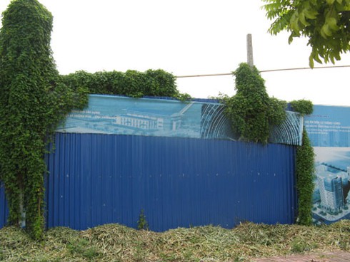 Méo mặt vì giá đất Kim Chung – Di Trạch còn non nửa - ảnh 8