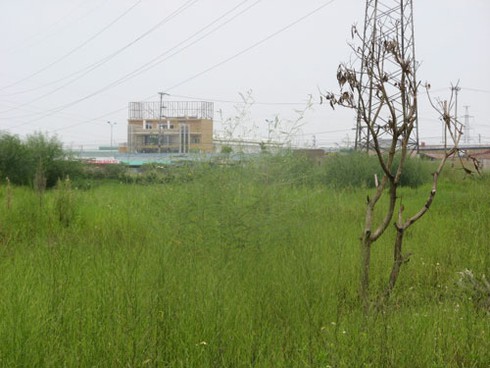 Méo mặt vì giá đất Kim Chung – Di Trạch còn non nửa - ảnh 6