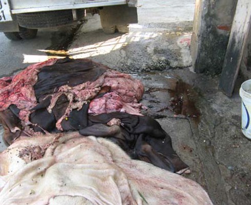 Ủ da thối: Phía sau vẻ sành điệu của đồ da thật - ảnh 2