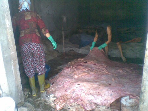 Ủ da thối: Phía sau vẻ sành điệu của đồ da thật - ảnh 5