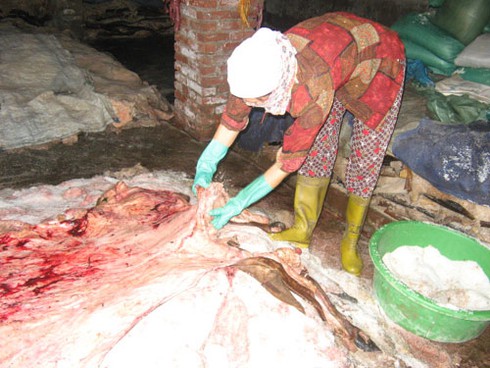 Ủ da thối: Phía sau vẻ sành điệu của đồ da thật - ảnh 6