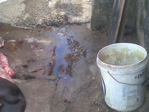 Ủ da thối: Phía sau vẻ sành điệu của đồ da thật - ảnh 8