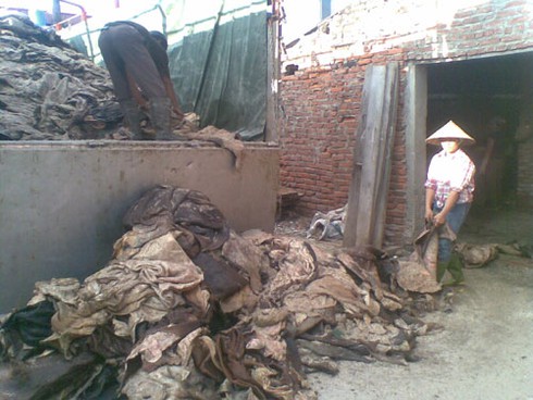 Ủ da thối: Phía sau vẻ sành điệu của đồ da thật - ảnh 3