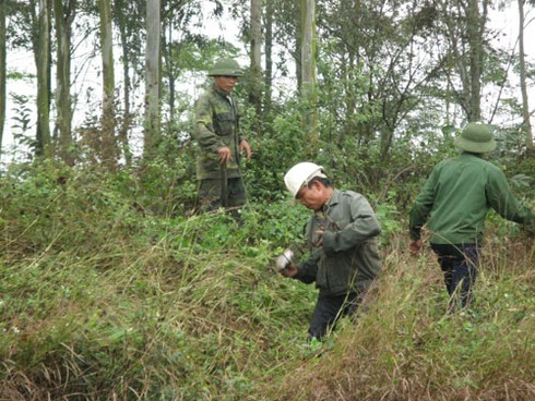 Săn chuột bán cho quán nhậu kiếm bạc triệu mỗi ngày - ảnh 9