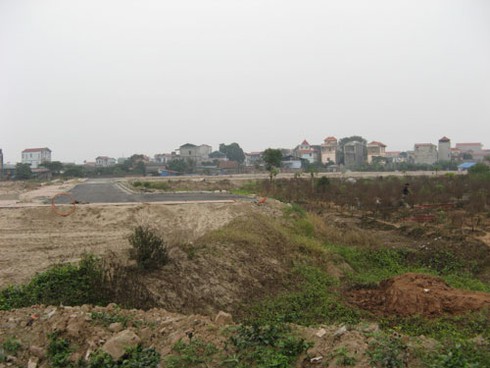 Trồng hoa đào Tết trong bãi tha ma ở Hà Nội - ảnh 11