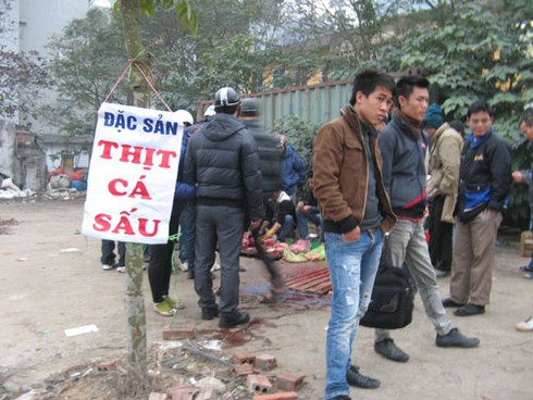 Xẻ thịt cá sấu bán trên vỉa hè Hà Nội - ảnh 1