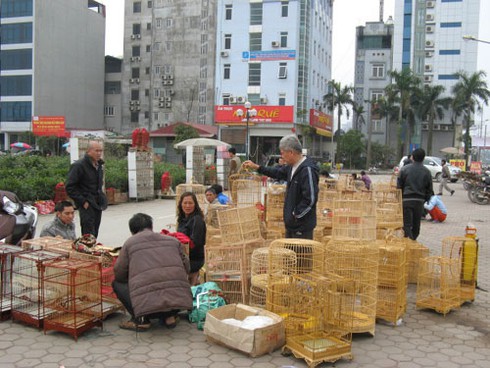 Dự án BĐS nghìn tỷ biến thành chợ bán chim cảnh - ảnh 5