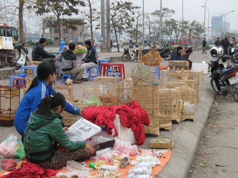 Dự án BĐS nghìn tỷ biến thành chợ bán chim cảnh - ảnh 12