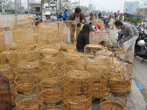 Dự án BĐS nghìn tỷ biến thành chợ bán chim cảnh - ảnh 9