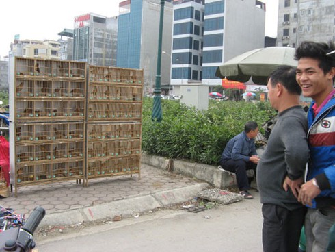 Dự án BĐS nghìn tỷ biến thành chợ bán chim cảnh - ảnh 10