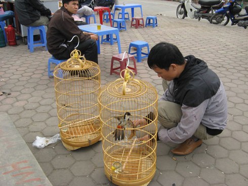Dự án BĐS nghìn tỷ biến thành chợ bán chim cảnh - ảnh 13