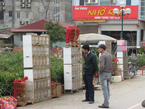 Dự án BĐS nghìn tỷ biến thành chợ bán chim cảnh - ảnh 11