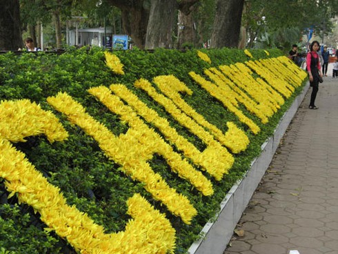 Hà Nội rực rỡ nghệ thuật hoa trong dịp đón Xuân mới - ảnh 4
