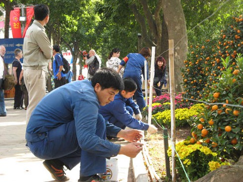 Hà Nội rực rỡ nghệ thuật hoa trong dịp đón Xuân mới - ảnh 7