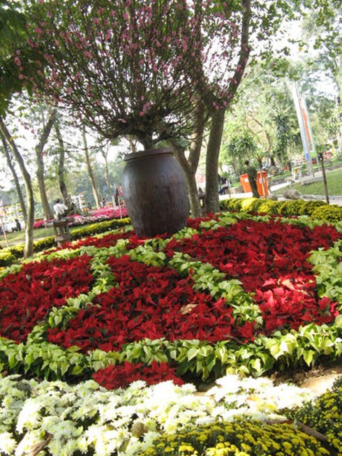 Hà Nội rực rỡ nghệ thuật hoa trong dịp đón Xuân mới - ảnh 16
