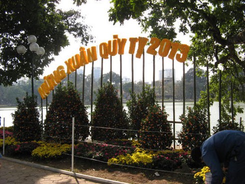 Hà Nội rực rỡ nghệ thuật hoa trong dịp đón Xuân mới - ảnh 14