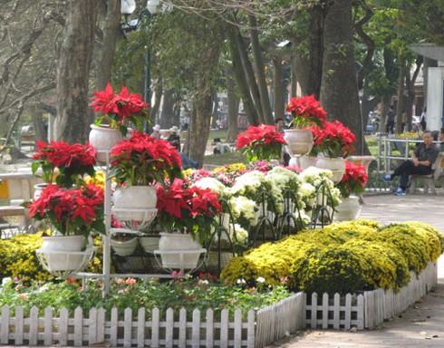 Hà Nội rực rỡ nghệ thuật hoa trong dịp đón Xuân mới - ảnh 11
