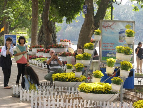 Du khách nước ngoài “ngạc nhiên” với nghệ thuật hoa Xuân đón năm mới - ảnh 4