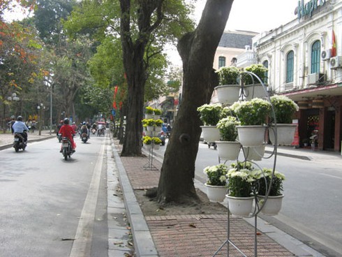 Du khách nước ngoài “ngạc nhiên” với nghệ thuật hoa Xuân đón năm mới - ảnh 9