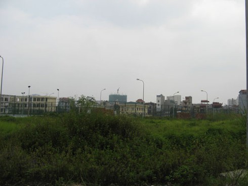 Tung sốt ảo khi thị trường