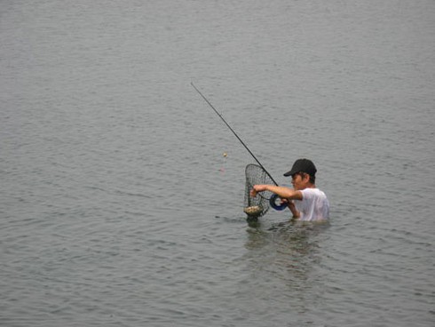 “Bơi” giữa Hồ Tây săn cá - ảnh 6