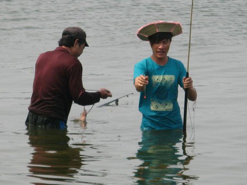 “Bơi” giữa Hồ Tây săn cá - ảnh 5
