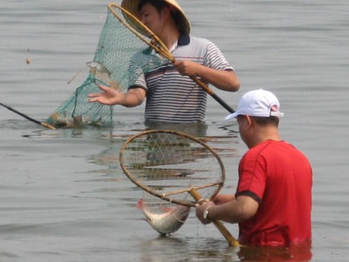 “Bơi” giữa Hồ Tây săn cá - ảnh 1