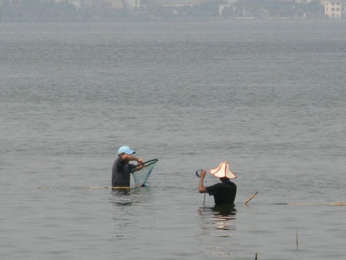 “Bơi” giữa Hồ Tây săn cá - ảnh 9