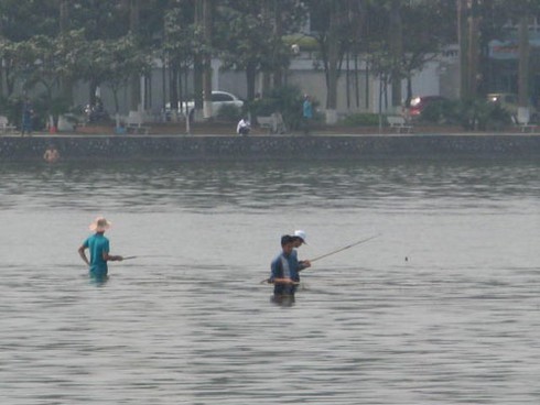 “Bơi” giữa Hồ Tây săn cá - ảnh 2