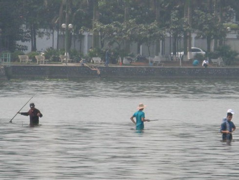 “Bơi” giữa Hồ Tây săn cá - ảnh 8