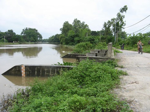 Bác bỏ tin đồn vỡ đê sông Nhuệ - ảnh 5