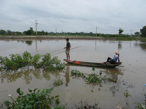 Bác bỏ tin đồn vỡ đê sông Nhuệ - ảnh 3