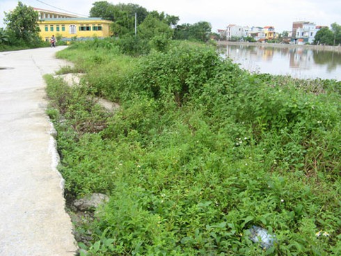 Bác bỏ tin đồn vỡ đê sông Nhuệ - ảnh 6