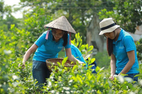 Thủ khoa Hà Nội vào vai nông dân
