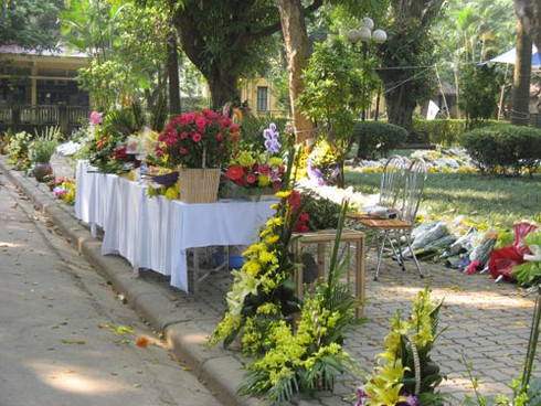 Lặng lẽ chăm sóc những bó hoa người dân viếng Đại tướng - ảnh 2