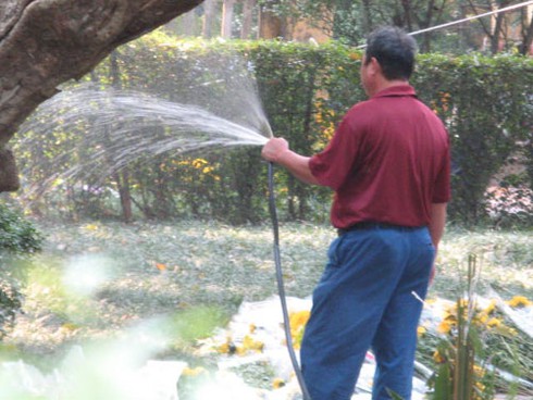 Lặng lẽ chăm sóc những bó hoa người dân viếng Đại tướng - ảnh 4