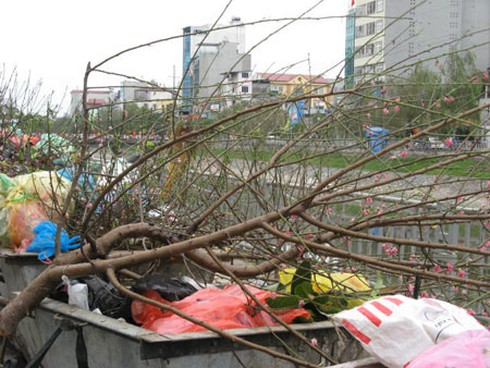 Đào, quất chất thành đống rác sau Tết - ảnh 2