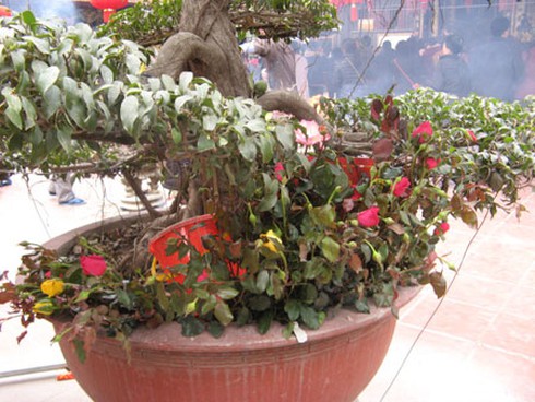 Dân cắm hương xin lộc lung tung khắp Bia Bà - ảnh 11