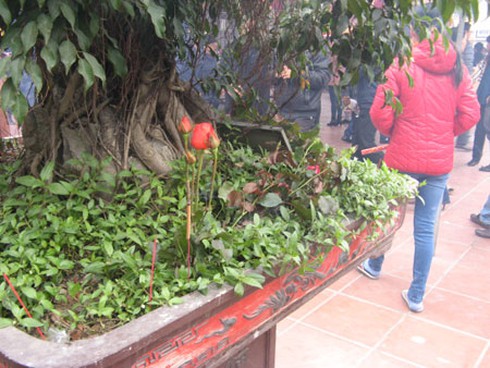 Dân cắm hương xin lộc lung tung khắp Bia Bà - ảnh 6