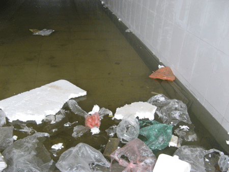 Hầm đi bộ tiền tỷ biến thành ao - ảnh 9