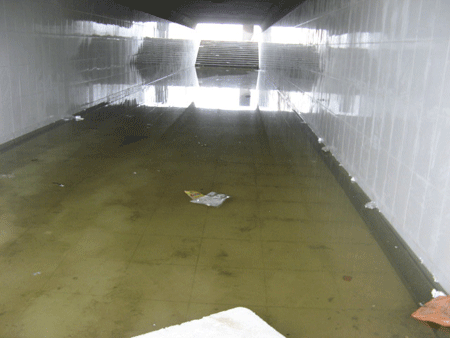 Hầm đi bộ tiền tỷ biến thành ao - ảnh 6