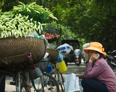 Hoa loa kèn đầu mùa
