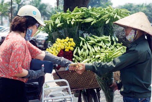 Hoa loa kèn đầu mùa