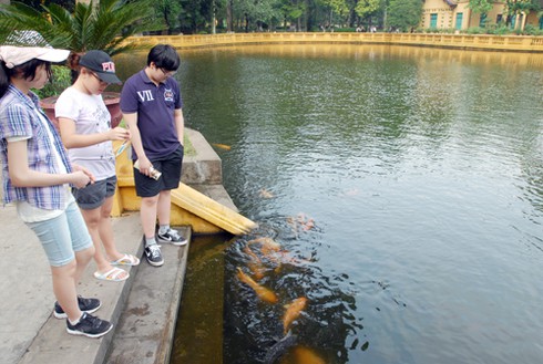 Con ở miền Nam ra thăm Lăng Bác - ảnh 10