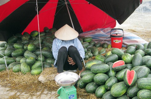 Thương lắm giấc ngủ trưa giữa thủ đô - ảnh 10