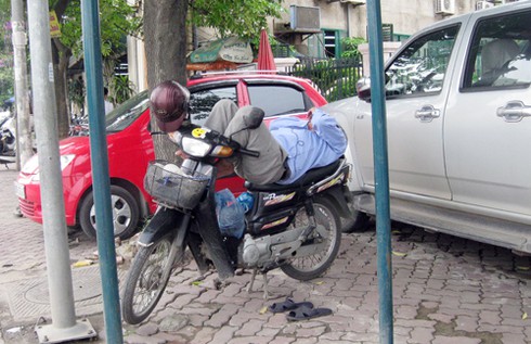 Thương lắm giấc ngủ trưa giữa thủ đô - ảnh 12