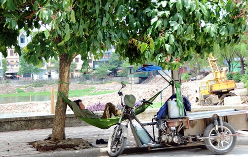 Thương lắm giấc ngủ trưa giữa thủ đô - ảnh 14