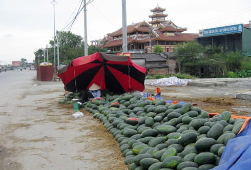 Thương lắm giấc ngủ trưa giữa thủ đô - ảnh 9