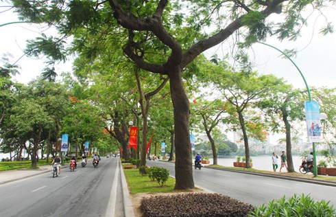 Những cung đường